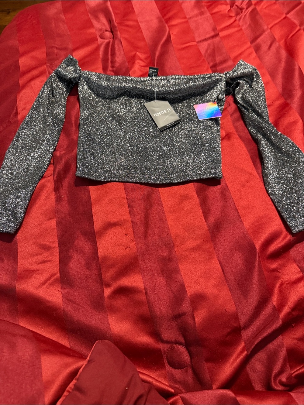 Forever 21 Silver Glitter Off-Shoulder Long Sleeve Crop Top